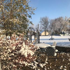 Meet your Posher, Dianne